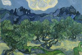 Jo Van Gogh Bonger, Vincent van Gogh, Olive Trees,1889