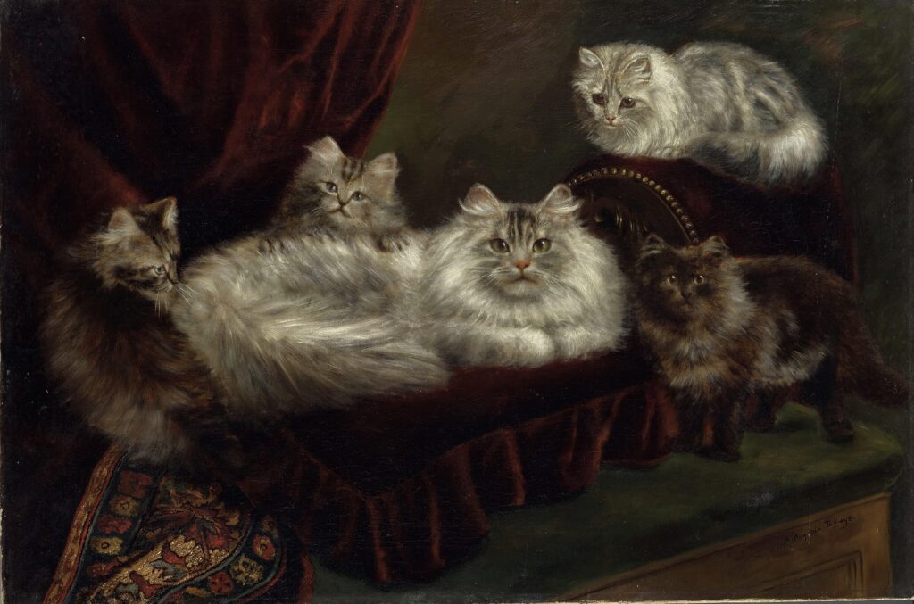cat paintings: Agnes Augusta Talboys, A Family of Cats on a Red Velvet Bed, 1908, private collection.
